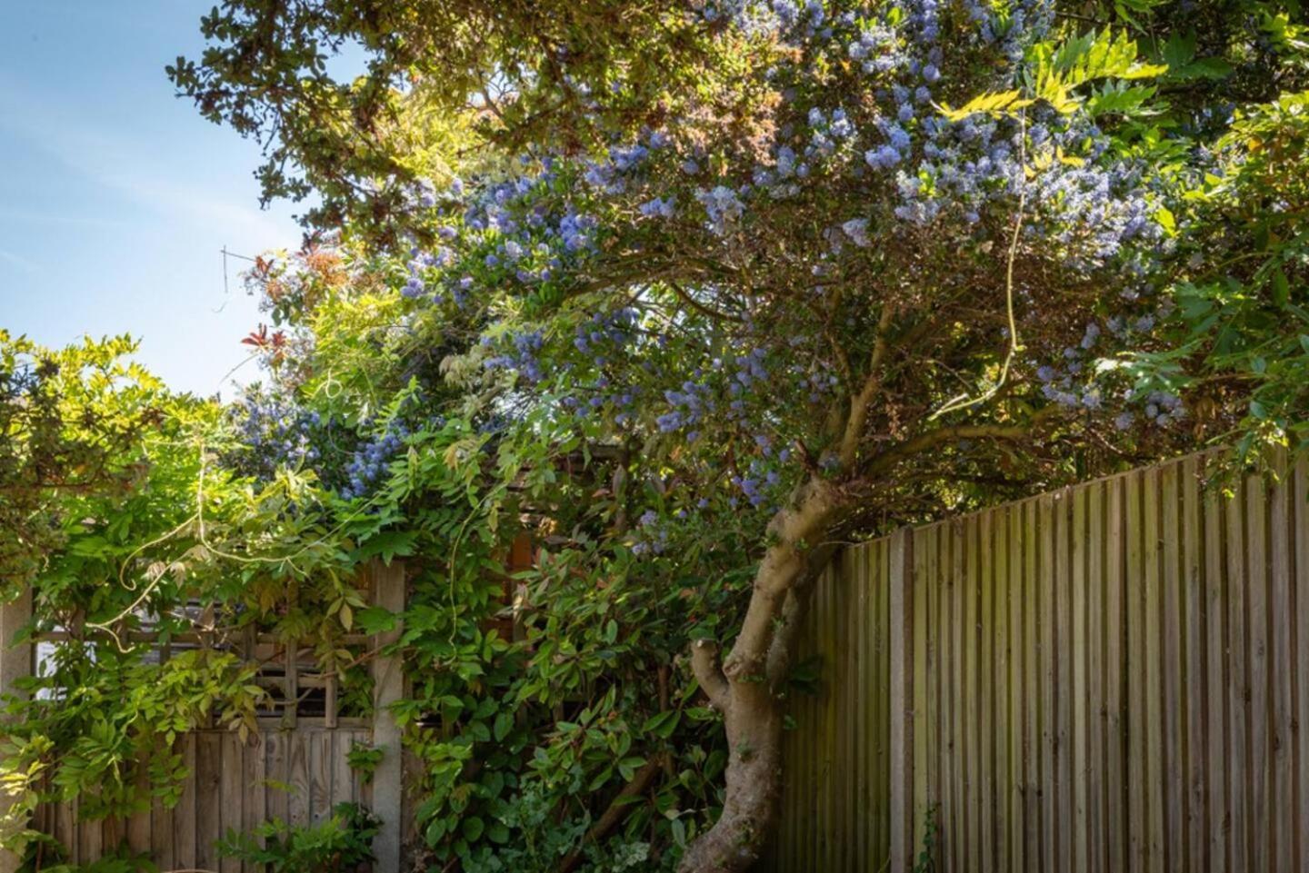 Eden Cottage Whitstable Zewnętrze zdjęcie